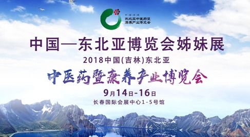和亲之路：探索历史中的宣和和议，推动不同文化之间的友好交流与合作
