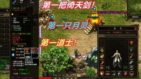 在传奇永恒中，道士如何成功召唤月灵，揭开神秘的召唤技巧与策略
