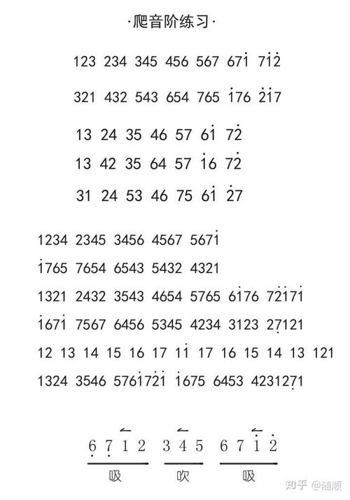 (白键cv)白键上的协奏曲：探寻卡宏往事中的音乐与梦幻交织的心灵旅程