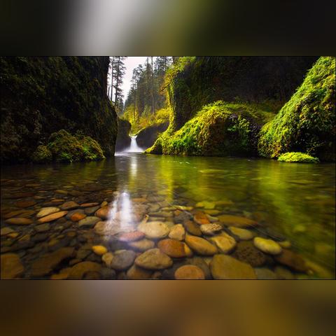 (愤怒的小鸟变形金刚动画片全集)愤怒的小鸟：变形金刚版，激情如火，战斗无极限！