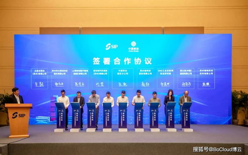 (小鸟网络科技)小鸟OL网页版登录入口：如何快速进入小鸟OL网页版进行游戏？