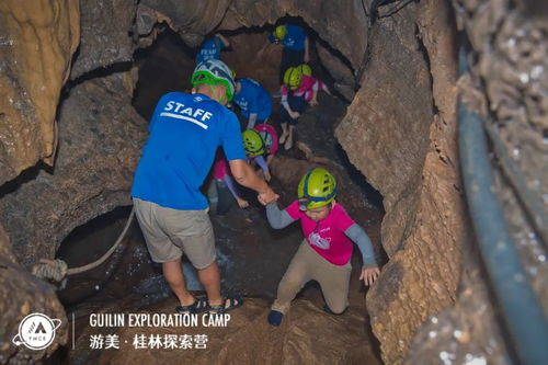 (小小探险家故事在线听)小小探险家歌曲：勇敢探险，发现未知世界，谱写冒险之歌。