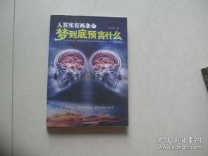 (生命药水的配方)探索预言奇谈：揭示生命药剂背后的神秘力量与未来可能性
