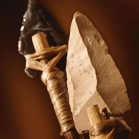 穿越石器时代观影必读：疯狂原始人3D效果如何，带你体验逼真震撼的视觉盛宴