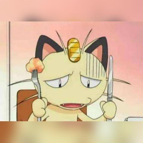 (喵喵神奇宝贝)宝可梦喵喵：爱冒险的小伙伴们，一起探索神奇之旅吧