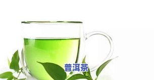 (搜索绿茶)探索绿茶软件园:发现创新科技的魅力,探寻未来世界的可能性 (搜索绿茶)探索绿茶软件园:发现创新科技的魅力,探寻未来世界的可能性