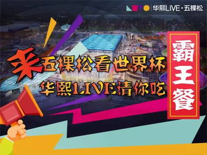 2024妃儿澳门资料大全免费|智能解答解释落实_综合版.5.643