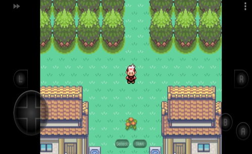 口袋妖怪红宝石攻略图：详细攻略，全图解，帮你轻松捕捉每一只精灵！