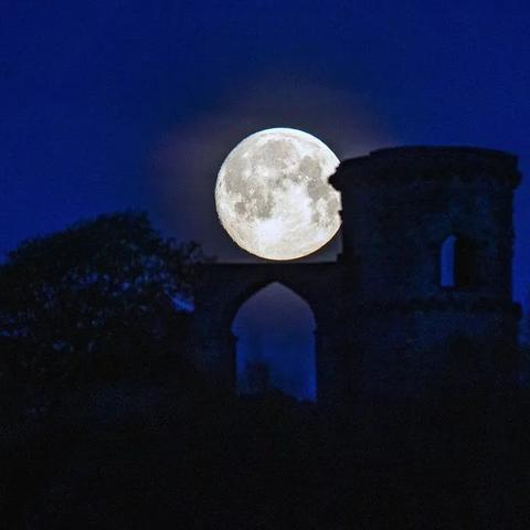 探索Lightus手游：沉浸式冒险与奇幻世界的完美结合