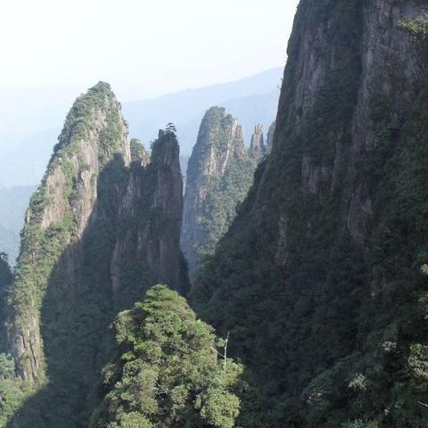 如何解锁遗忘仙境中的关卡?步骤详细,让你轻松畅游真正的仙境! 如何解锁遗忘仙境中的关卡?步骤详细,让你轻松畅游真正的仙境!