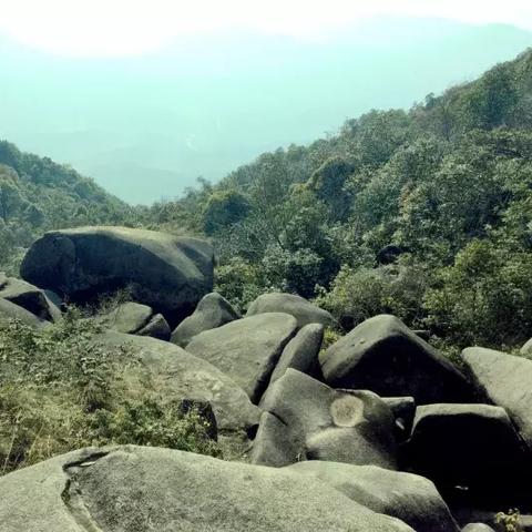 如何解锁遗忘仙境中的关卡?步骤详细,让你轻松畅游真正的仙境! 如何解锁遗忘仙境中的关卡?步骤详细,让你轻松畅游真正的仙境!