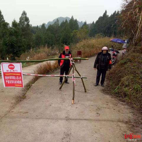 (免费买东西的群)深度探讨免费购物群的真实性，揭秘背后的秘密和风险问题