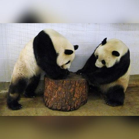 7777788888王中王玄机特色|探索城市新风尚与秘密角落_AP.6.675