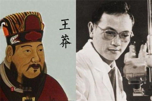 (弥留之国在哪里)探讨弥留之岛消失背后的历史原因及其对生态环境的影响