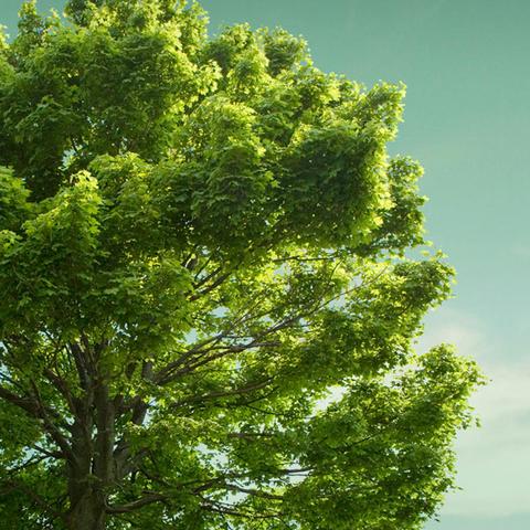 (电脑桌面壁纸 唯美 风景)令人陶醉的电脑桌面壁纸风景，唯美大片让你感受大自然的魅力