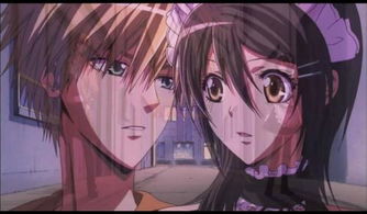 (初恋是学生会长的三个结局)初恋的甜蜜：学生会长与我携手走向幸福结局的青春故事