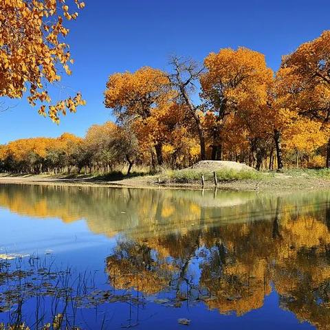 (赤焰百科)赤焰天穹：燃烧的火焰在苍穹中燃尽，星空遍布火红的世界。