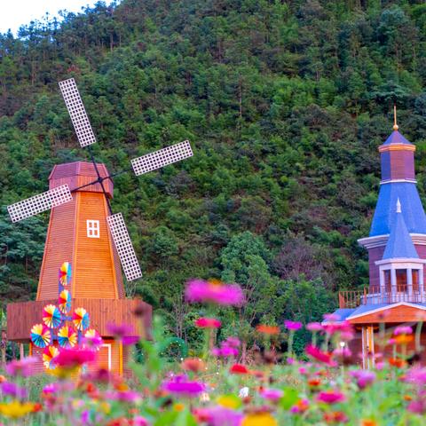 蜂蜂乐园是几几年被下架的？它的消失给消费者和产业带来了什么影响？