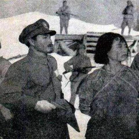 (恶之果讲的是什么)揭开恶之果背后的秘密：凶手究竟是谁，谁该为这一切负责？