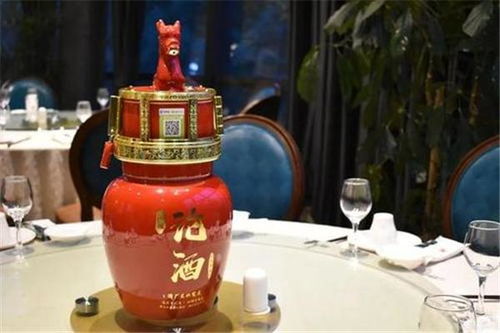 仗剑天涯一壶酒 饮马江湖断情愁：勇士的孤独与无奈，乘风破浪寻真爱。