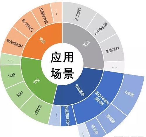 5码中特期期准免费公开|探索语言中动态词汇的意义_YE版.9.825