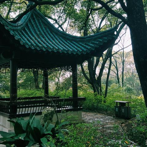 (双境之城官网)探秘双境之城动漫：跨越现实与幻想的奇幻冒险旅程