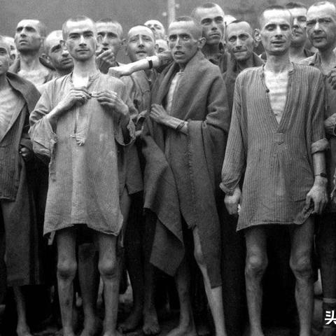 (纳粹视角的战争片)2024年最新纳粹战争片-揭秘纳粹之殇,与世界再度力战生死绝境 (纳粹视角的战争片)2024年最新纳粹战争片-揭秘纳粹之殇,与世界再度力战生死绝境