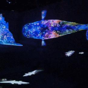 通过AI技术打造梦幻明星MV，让你进入数字时代的视听盛宴