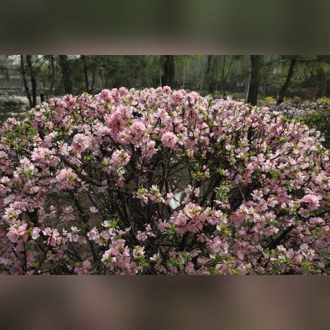 (一路奔向你)一路奔向月光的彼岸:追寻梦想与爱的结局 (一路奔向你)一路奔向月光的彼岸:追寻梦想与爱的结局