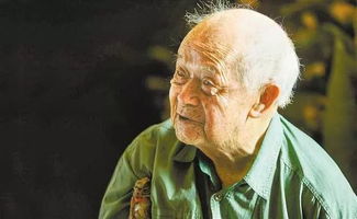 (西域风云视频)西域风云杨凡：一个英雄的传奇故事在沙漠之中掀起惊涛骇浪