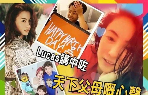 (家里放剑的讲究)家里放剑家破人亡：一段血腥的家庭悲剧引发的思考与警示