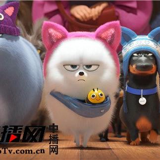 (爱宠大机密腾讯视频)揭秘《爱宠大机密一》：另一面的故事和秘密往事揭露