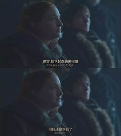 (戏影怨偶)戏怨攻略第二章：游走阴谋之间，揭示真相与谎言