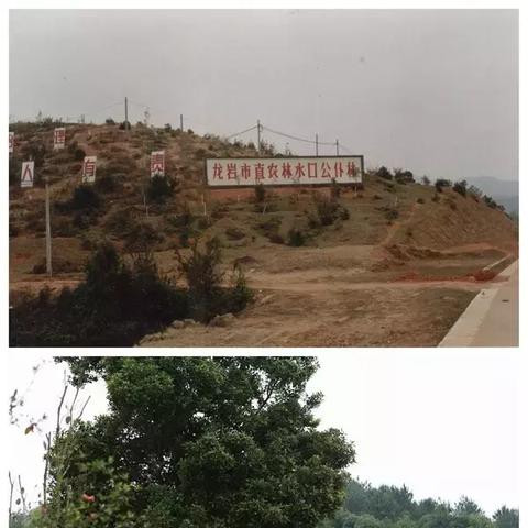 (绿梦生态园全景图)绿梦生态园：探寻自然之美，体验生态之乐，享受绿色梦想之旅