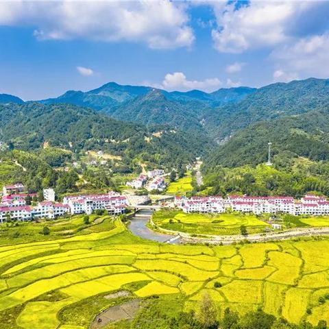 探索山野之美：女孩游戏攻略，发现隐藏在大自然中的乐趣和冒险