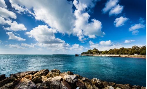 2024新澳免费资料成语平特|探寻城市中的隐秘美景_先锋版ISHOP.5.275