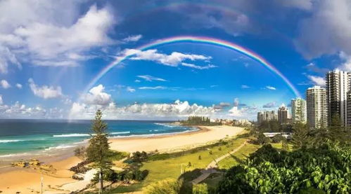 2024新澳免费资料成语平特|探寻城市中的隐秘美景_先锋版ISHOP.5.275