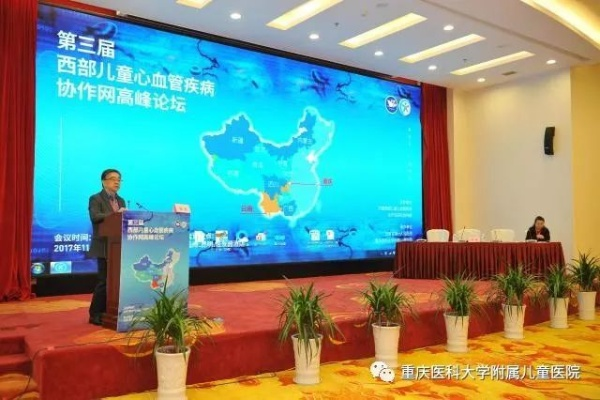 精准王中王心水资料大全|详细解答解释落实_稀缺版.2.136