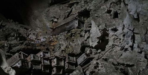 四不像正版资料|探索城市隐秘角落的魅力_专用集.6.568