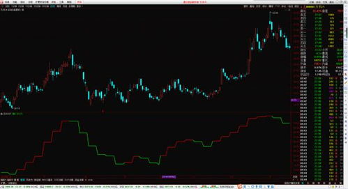 441616红牡丹高手论坛资讯|现象分析解释落实_FHD集.5.860