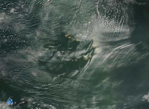 新奥门免费资料大全查询|畅享生活的每一天_资产版.9.414