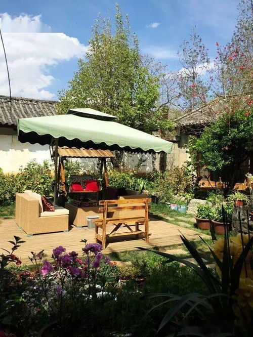 新奥门免费资料大全查询|畅享生活的每一天_资产版.9.414