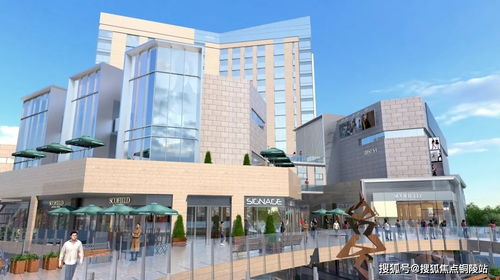 新澳2024年精准资料期期公开不变|实时解答解释落实_VIP6.527