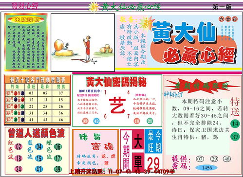 黄大仙澳门精准资料大全|最新正品解答落实_现实版.9.23