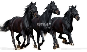 最新精准香港内部马料|广泛的关注解释落实热议_领航版.9.159