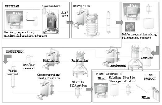 大三巴免费资料大全|标准化流程评估_极限版ISHOP.8.475 大三巴免费资料大全|标准化流程评估_极限版ISHOP.8.475