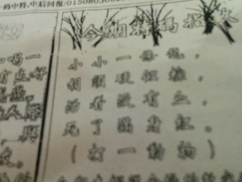 刘伯温三期必出三肖|最新研究解释落实_R版.4.249