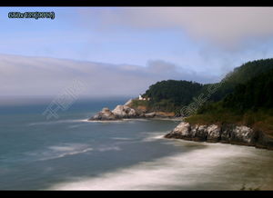 最准一肖100%准确使用方法|探寻城市中的隐秘美景_XP款.6.816