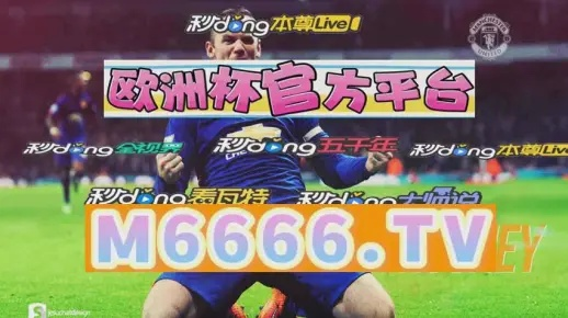 澳门今晚一肖必中|综合研究解释落实_自由版.3.31