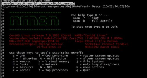 江左梅郎48724CC|权威数据解释落实_智慧版ISHOP.1.501